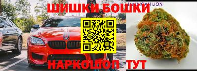 крисы Малгобек