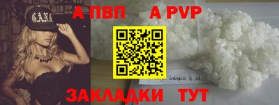 крисы Малгобек