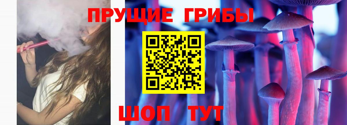 Губкинский  Псилоцибиновые грибы MAGIC MUSHROOMS  Вход с VPN 